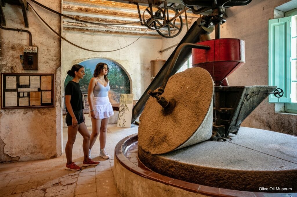 Olive oil Museum