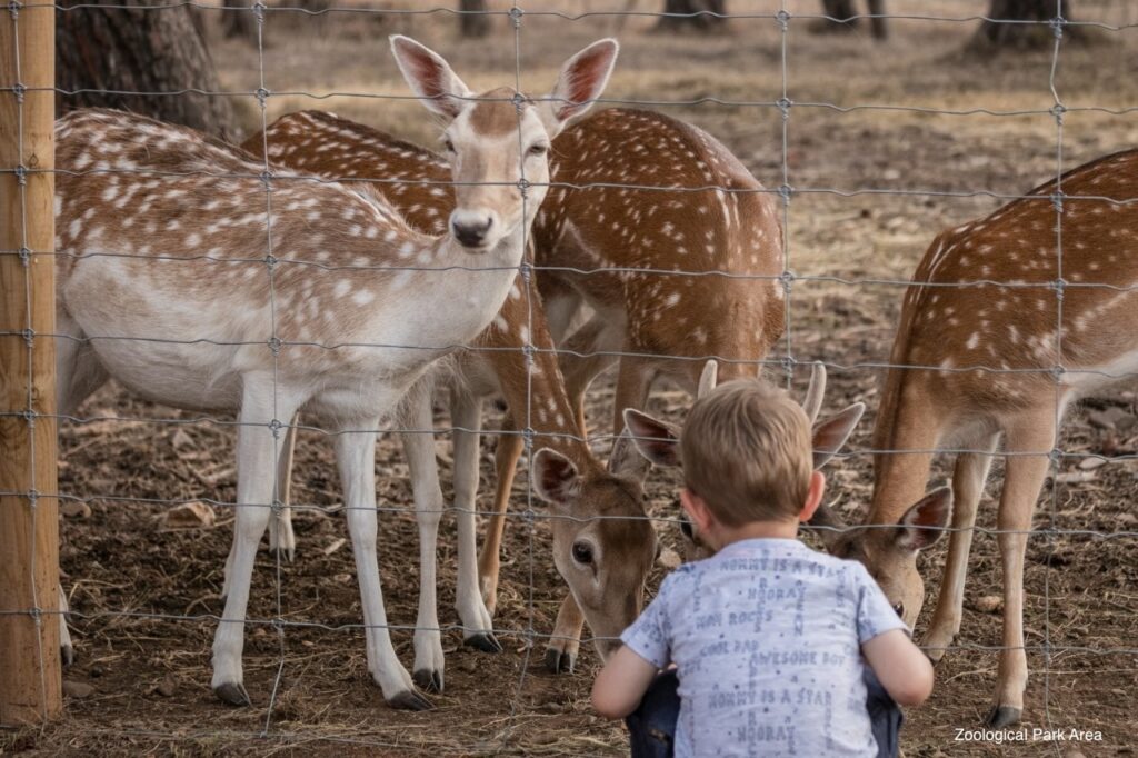 Zoological Park area